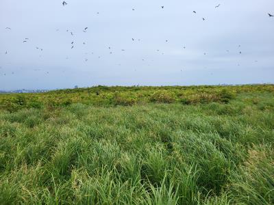 HABITAT